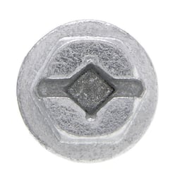 QCSH10_head_medium